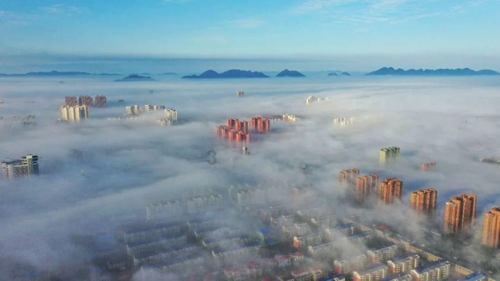 助力农民增收取得“十五连冠” 丽水市优质消薄产品销售额首破亿元