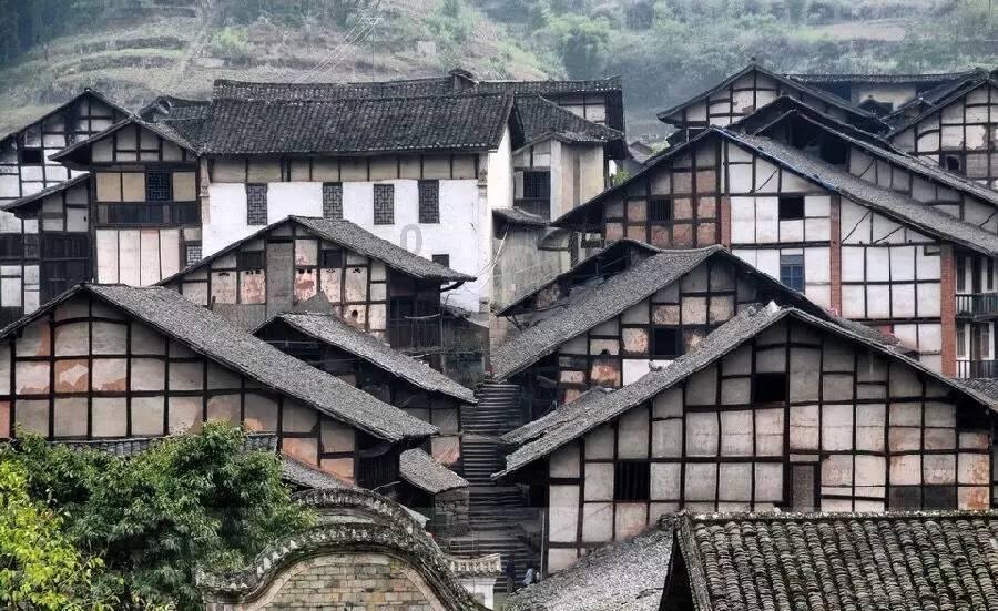 小鸟快跑